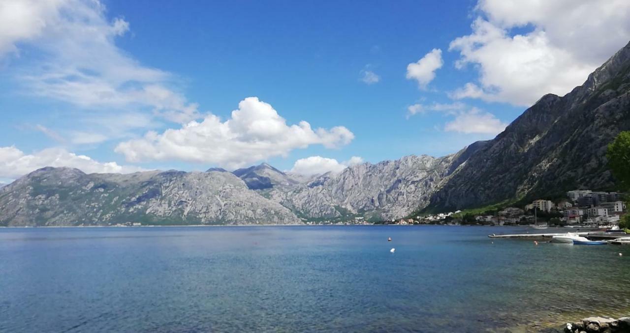 Apartment Radulovic Kotor Dış mekan fotoğraf